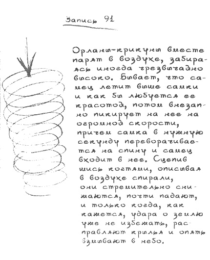 Квантовая теория любви