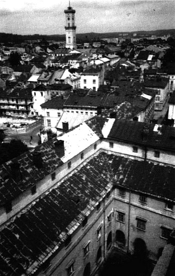 Миграции Миграции