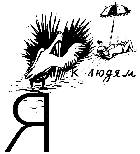 В одежде человека В одежде человека