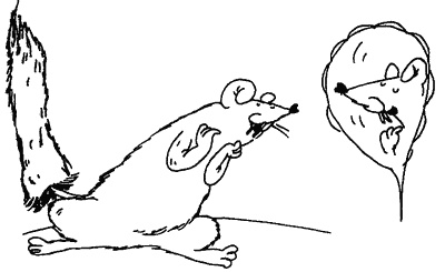 Весь мир - чулан Весь мир - чулан