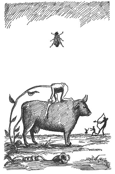 Принцесса Ангина