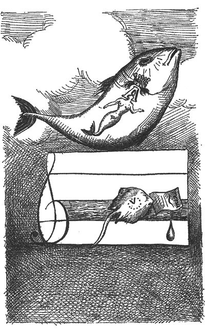 Принцесса Ангина Принцесса Ангина