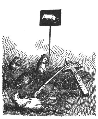 Принцесса Ангина Принцесса Ангина