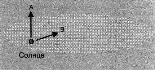 Загадочное ночное убийство собаки