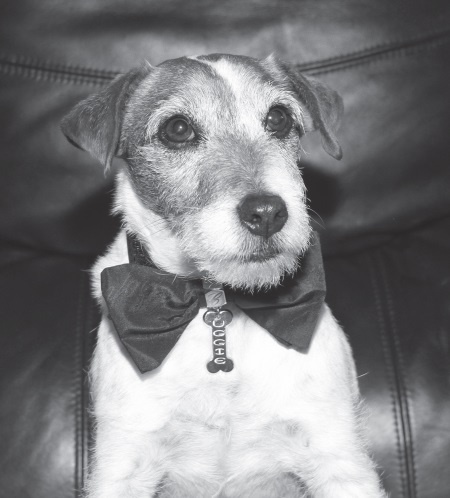 Угги. Моя жизнь Угги. Моя жизнь