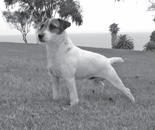 Угги. Моя жизнь Угги. Моя жизнь