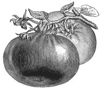 Колобок и др. Кулинарные путешествия Колобок и др. Кулинарные путешествия