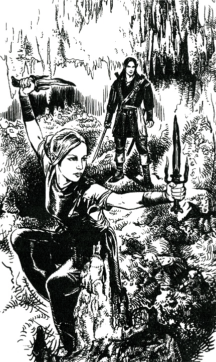 Темные Сестры. Опасный выход Темные Сестры. Опасный выход