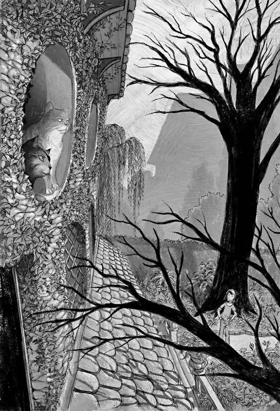 Книга теней Книга теней