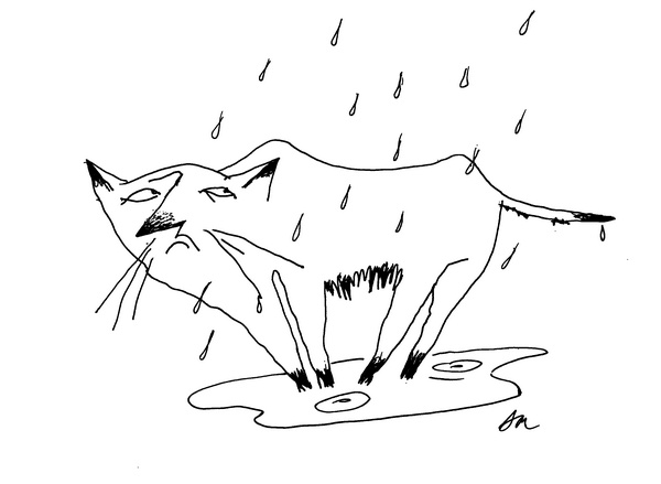 Было, есть, будет… Было, есть, будет…