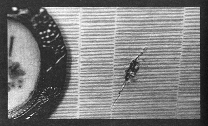 Убийства в кукольном доме Убийства в кукольном доме