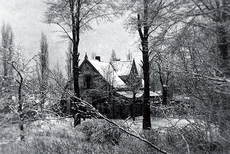 Танцующая в Аушвице Танцующая в Аушвице