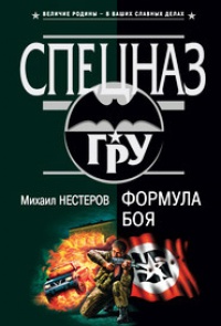 Формула боя - Михаил Нестеров