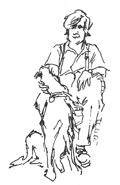 Год в Провансе Год в Провансе