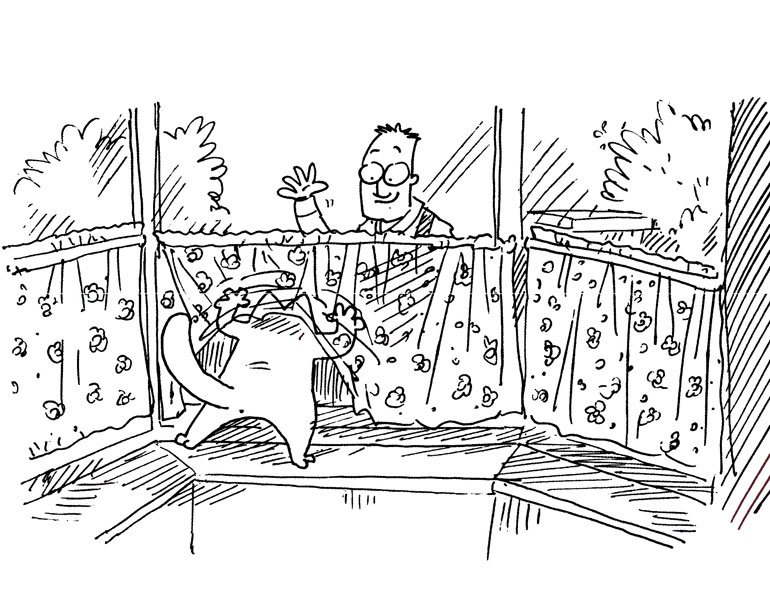 Кот Саймона Кот Саймона