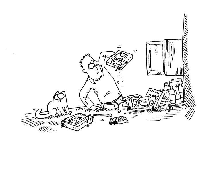 Кот Саймона Кот Саймона