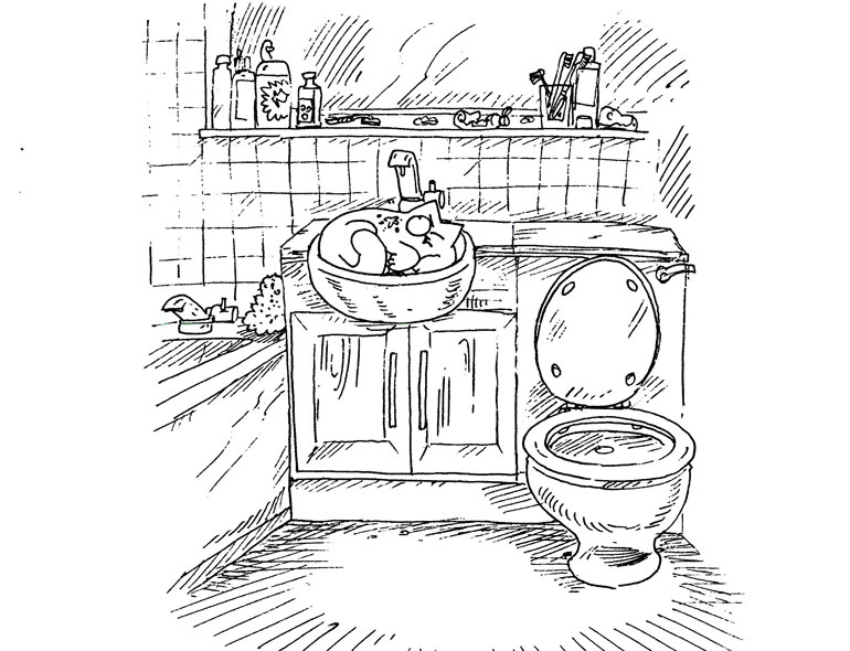 Кот Саймона Кот Саймона