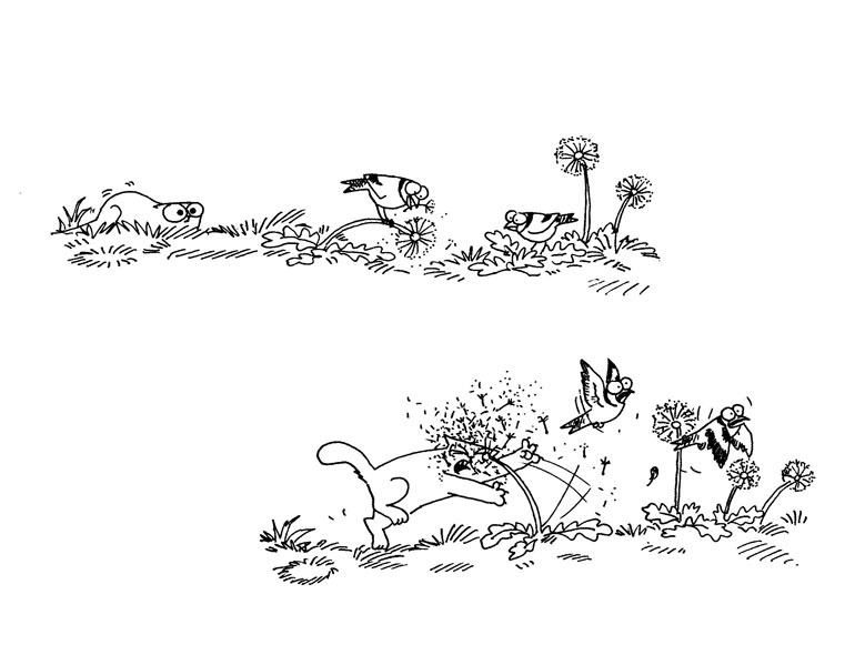 Кот Саймона Кот Саймона