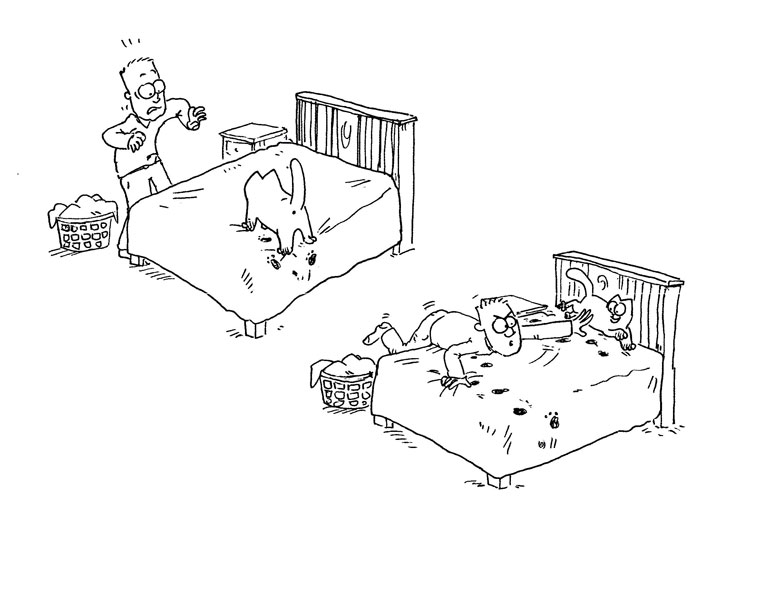 Кот Саймона Кот Саймона