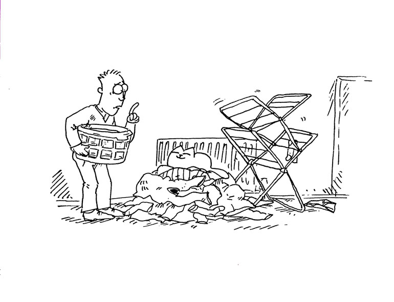 Кот Саймона Кот Саймона