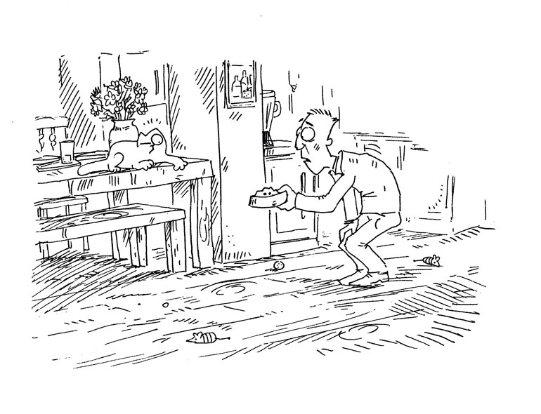 Кот Саймона Кот Саймона