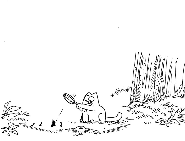 Кот Саймона Кот Саймона