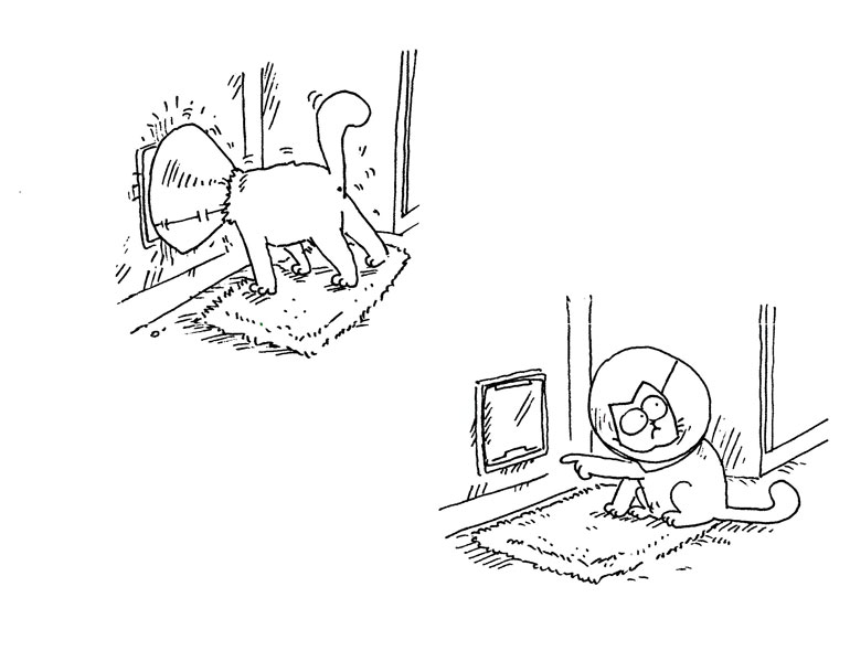 Кот Саймона Кот Саймона