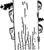 Остров Веселых Робинзонов Остров Веселых Робинзонов