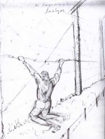 Выжить и вернуться. Одиссея советского военнопленного. 1941-1945