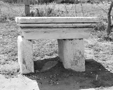 Троянский конь западной истории Троянский конь западной истории