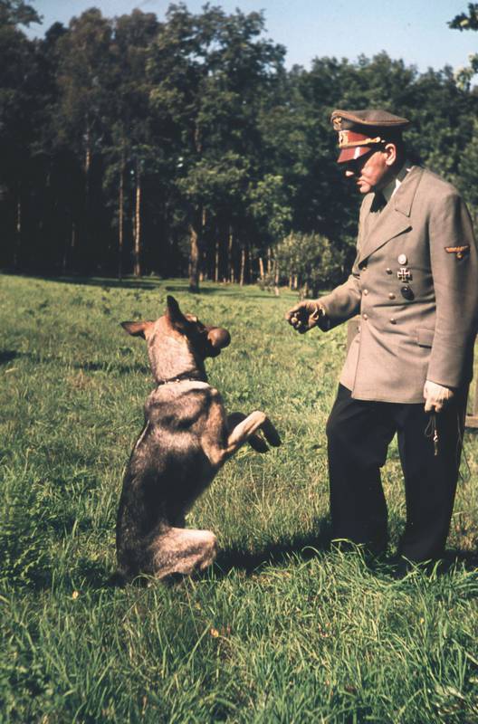 Темная харизма Адольфа Гитлера. Ведущий миллионы в пропасть Темная харизма Адольфа Гитлера. Ведущий миллионы в пропасть