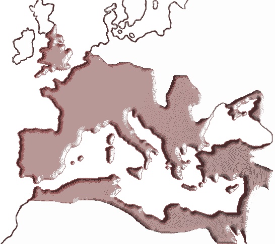 Великая шахматная доска. Господство Америки и его геостратегические императивы Великая шахматная доска. Господство Америки и его геостратегические императивы