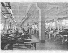 Аферистка. Дело Тимошенко Аферистка. Дело Тимошенко