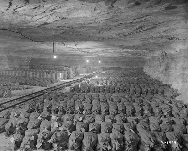 Серый волк. Бегство Адольфа Гитлера