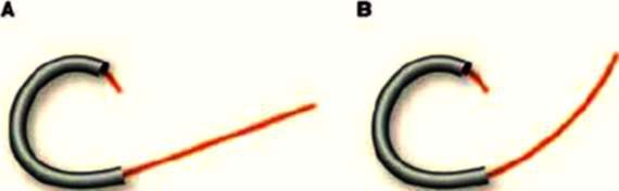 Между Сциллой и Харибдой. Последний выбор Цивилизации Между Сциллой и Харибдой. Последний выбор Цивилизации