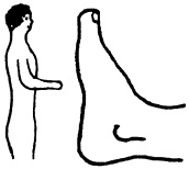 Целительные точки нашего тела. Практический атлас Целительные точки нашего тела. Практический атлас