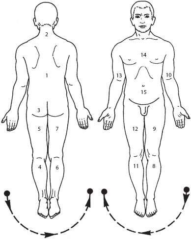 Массаж. Уроки великого мастера Массаж. Уроки великого мастера