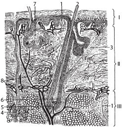 Массаж. Уроки великого мастера Массаж. Уроки великого мастера