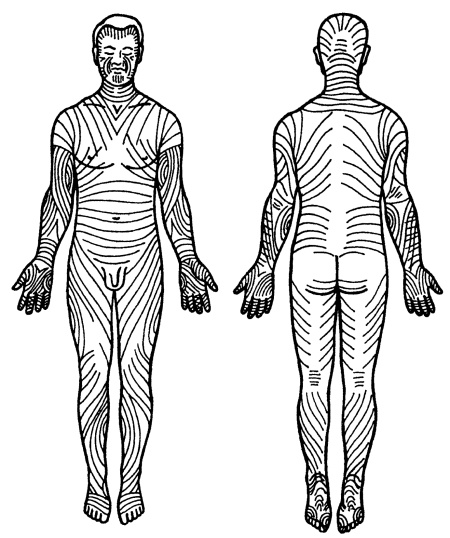 Все про массаж Все про массаж