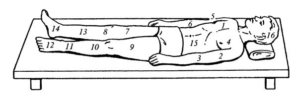 Все про массаж Все про массаж