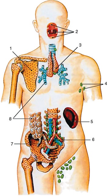 Здоровый мужчина в вашем доме Здоровый мужчина в вашем доме