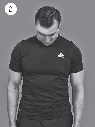 Шея без боли. Уникальный изометрический тренинг Шея без боли. Уникальный изометрический тренинг