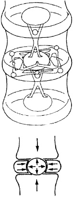Остеохондроз и плоскостопие у мужчин. Супермен и соломинка. Профилактика, диагностика, лечение Остеохондроз и плоскостопие у мужчин. Супермен и соломинка. Профилактика, диагностика, лечение