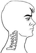 Остеохондроз и плоскостопие у мужчин. Супермен и соломинка. Профилактика, диагностика, лечение Остеохондроз и плоскостопие у мужчин. Супермен и соломинка. Профилактика, диагностика, лечение
