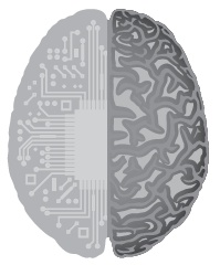 Тело как феномен. Разговор с терапевтом Тело как феномен. Разговор с терапевтом