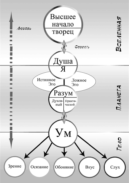 Аюрведа. Философия и травы