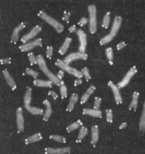 Читая между строк ДНК. Второй код нашей жизни, или Книга, которую нужно прочитать всем Читая между строк ДНК. Второй код нашей жизни, или Книга, которую нужно прочитать всем