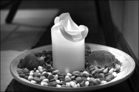 Массаж от классики до экзотики. Полная энциклопедия систем, видов, техник, методик Массаж от классики до экзотики. Полная энциклопедия систем, видов, техник, методик