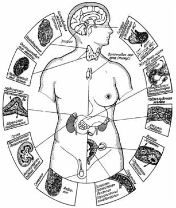 Заболевания щитовидной железы. Лечение и профилактика Заболевания щитовидной железы. Лечение и профилактика