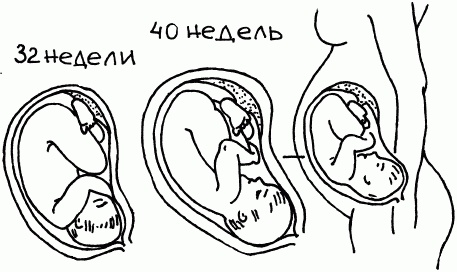 1001 вопрос будущей мамы. Большая книга ответов на все вопросы
